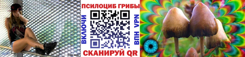 продажа наркотиков Терек Псилоцибиновые грибы мицелий