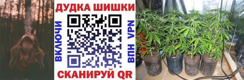 Марихуана Ganja  hydra онион  Терек  продажа наркотиков 